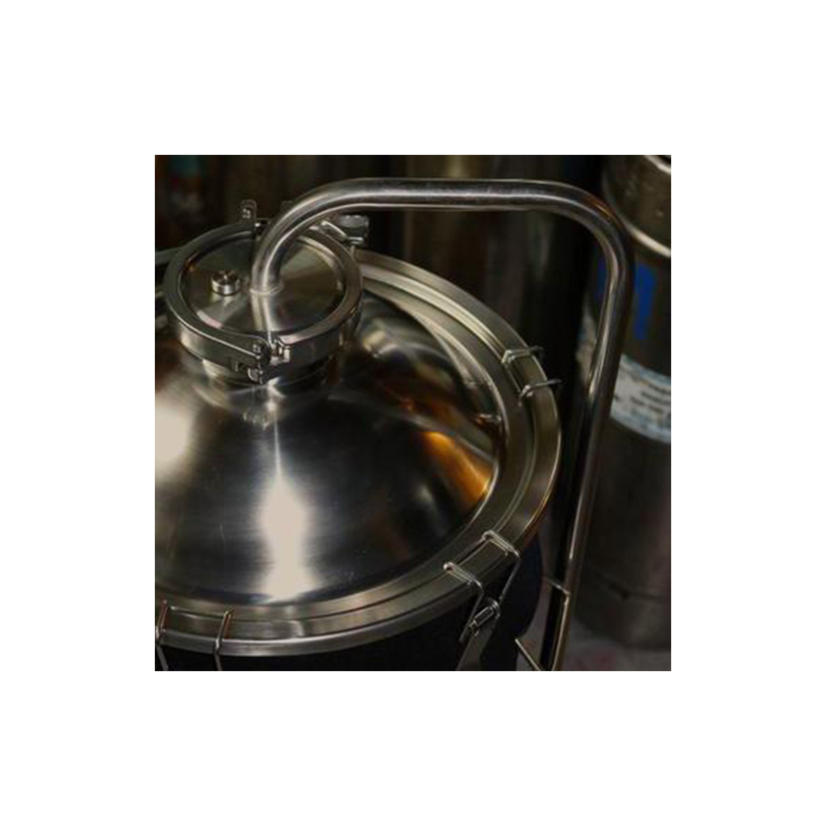 Ss Brewtech™ canne d'extraction 3" TC pour Chronical 159 l (1 bbl)