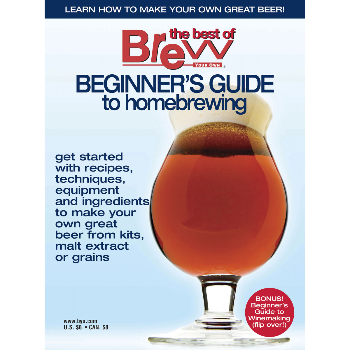 Beginner's guide to homebrewing