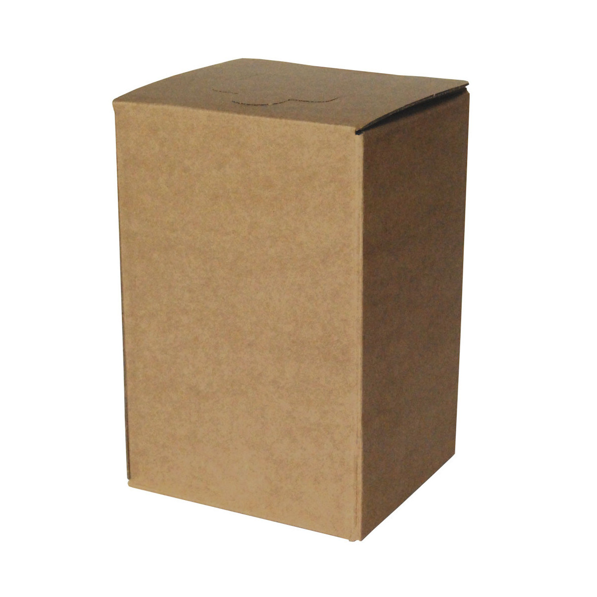 Box BROWN for BAG in BOX 3 l