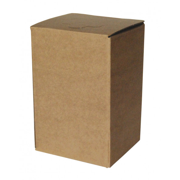 Box BROWN for BAG in BOX 3 l