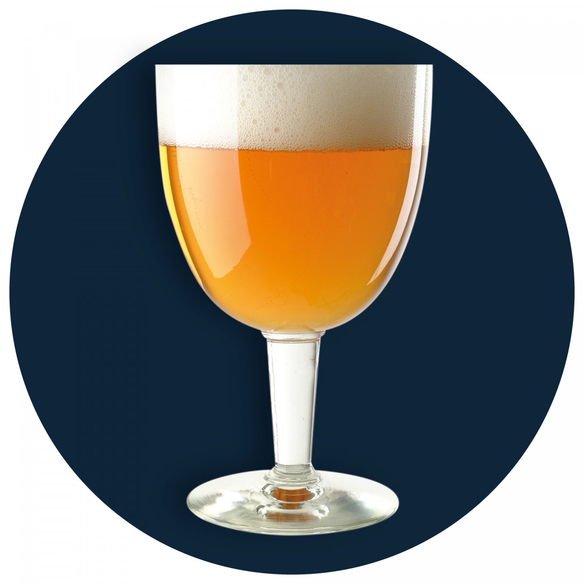 Beer Kit Débutant Bière ambrée, Kit de brassage au meilleur prix