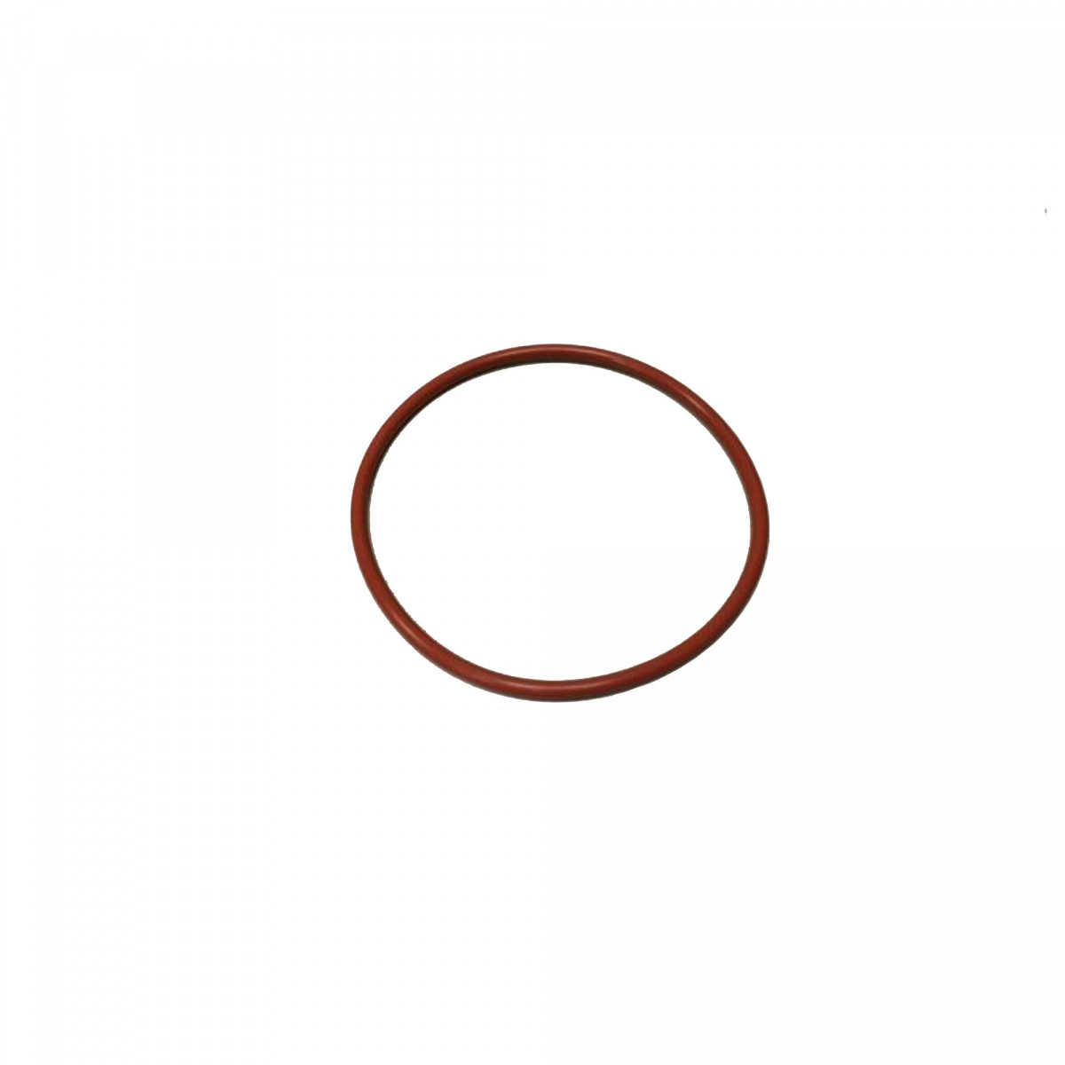 Vervang O-ring voor RipTide™ pomp