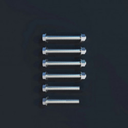 Ss Brewtech™ Brew Cube - connection bolts