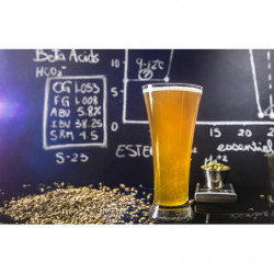 Workshop Bier brouwen voor gevorderden - Theorie 