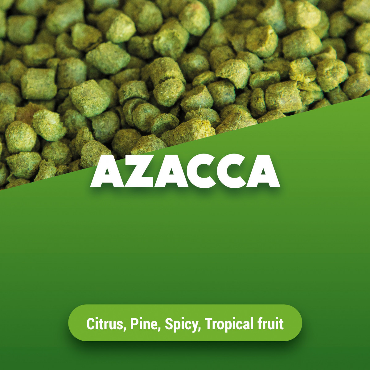 Hop pellets Azacca  - 1 kg