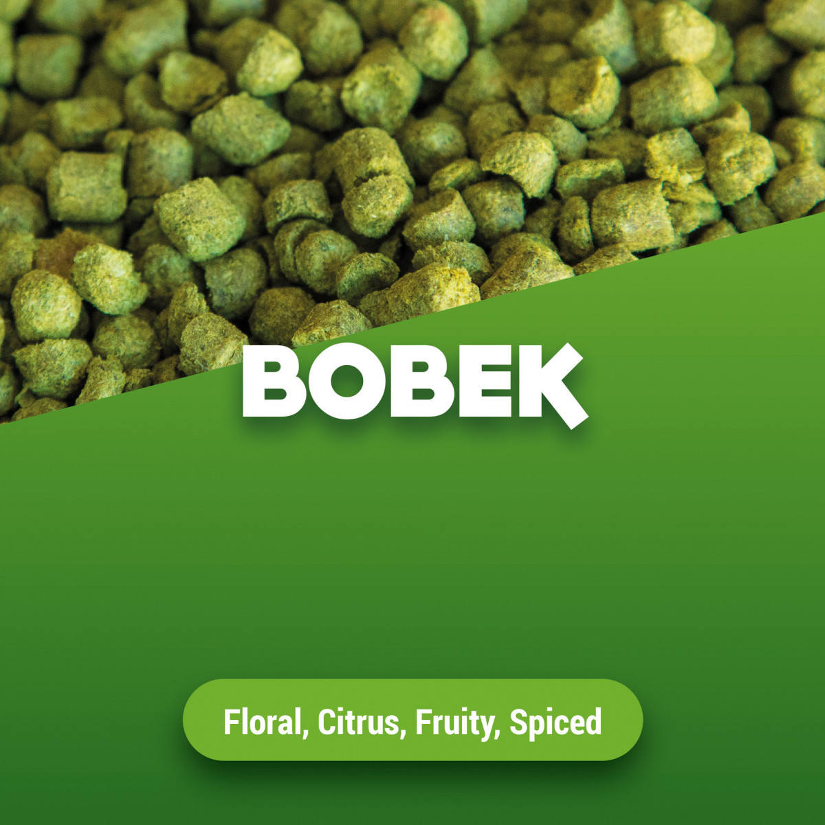 Houblon en pellets Bobek 100 g