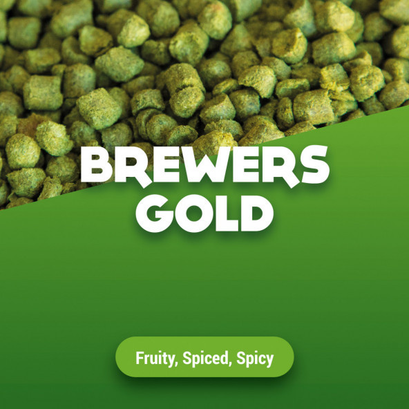 Hopfenpellets Brewers Gold 100 g