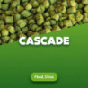Hop pellets Cascade 100 g 0