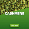 Hop pellets Cashmere - 1 kg 0