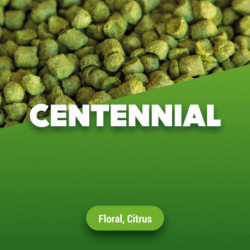 Hopfenpellets Centennial 2023 5 kg