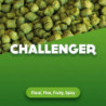 Hop pellets Challenger 1 kg 0