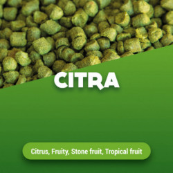 Hop pellets Citra 100 g