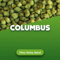 Houblons en pellets Columbus 2023 5 kg