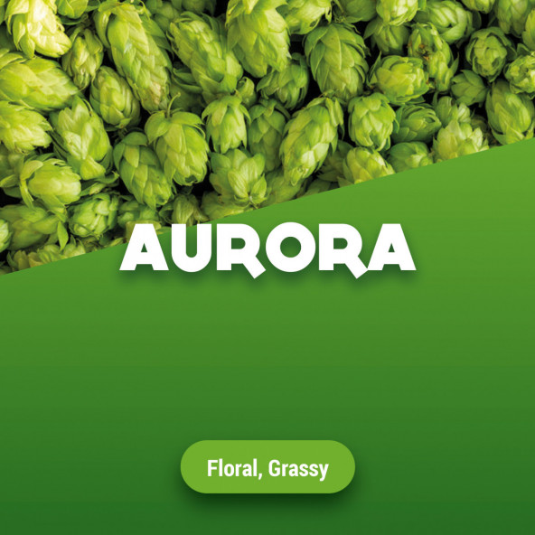 Hopbellen Aurora 2016 250 g