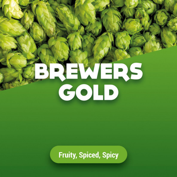 Hopbellen Brewers Gold 2015 60 kg