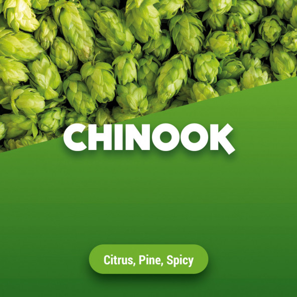 Hopbellen Chinook 2013 5 kg