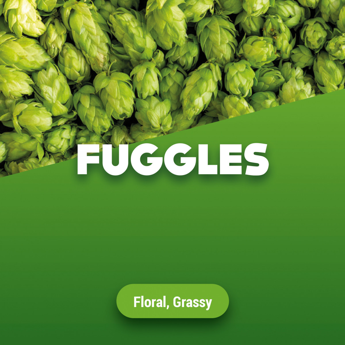 Hops Fuggles 100 g