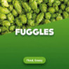 Hops Fuggles 100 g 0