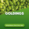 Houblons en cônes Goldings 100 g 0