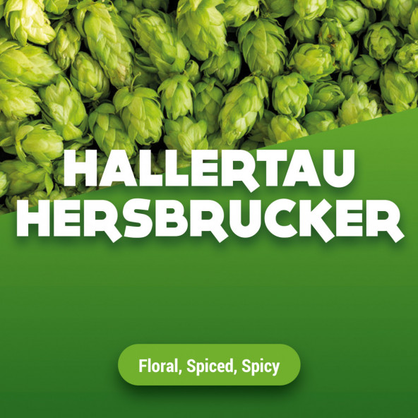 Hopbellen Hallertau Hersbrucker 2016 100g