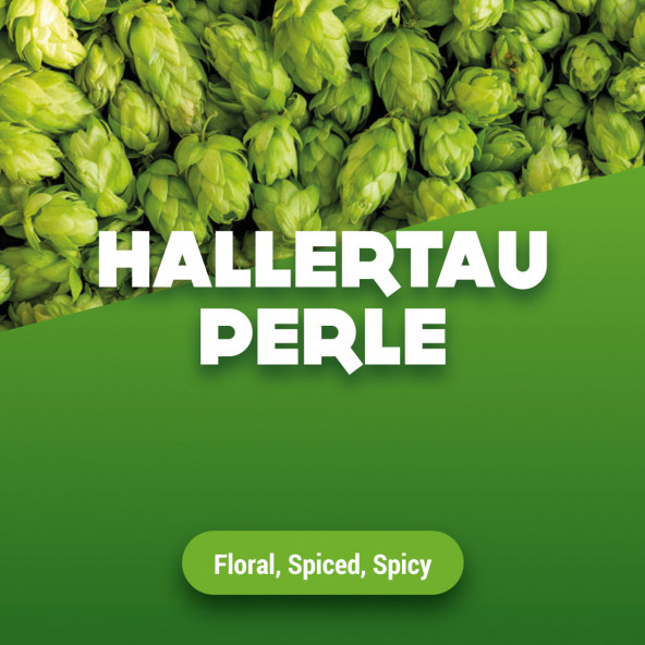 Hopbellen Hallertau Perle 2015 60 kg