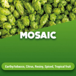 Hops Mosaic 100 g