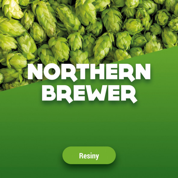 Hopbellen Northern Brewer 2016 1 kg