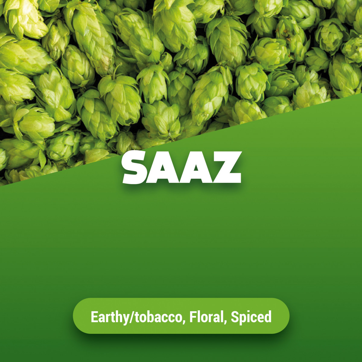 Hops Saaz 100 g