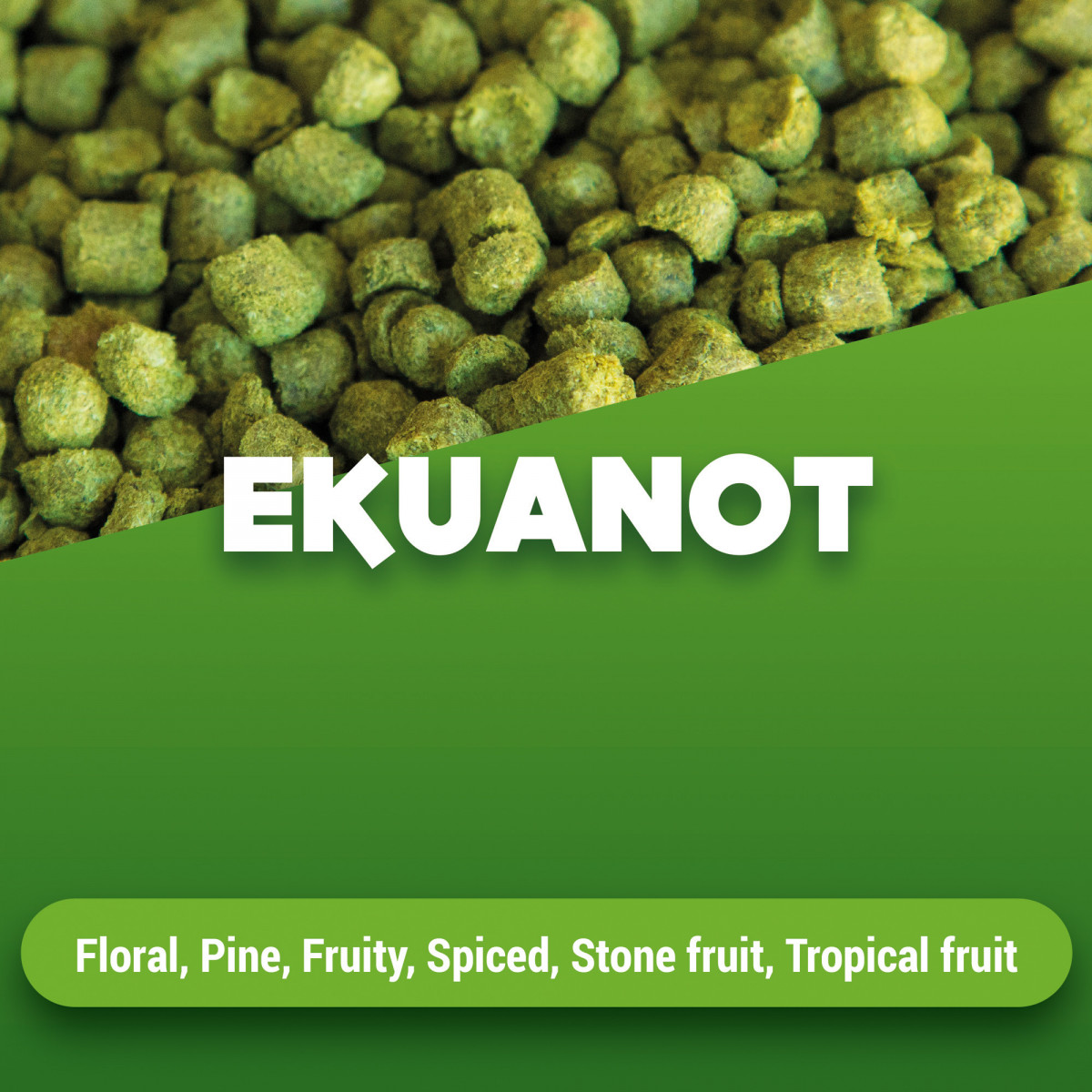 Hop pellets Ekuanot 2023 5 kg