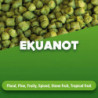 Hop pellets Ekuanot 1 kg 0
