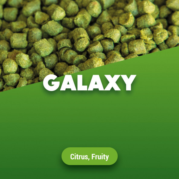 Hop pellets Galaxy - 1 kg 