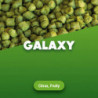 Hop pellets Galaxy - 1 kg  0