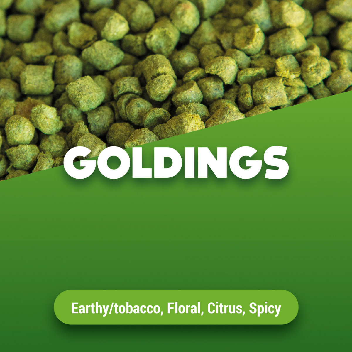 Hop pellets Goldings 100 g