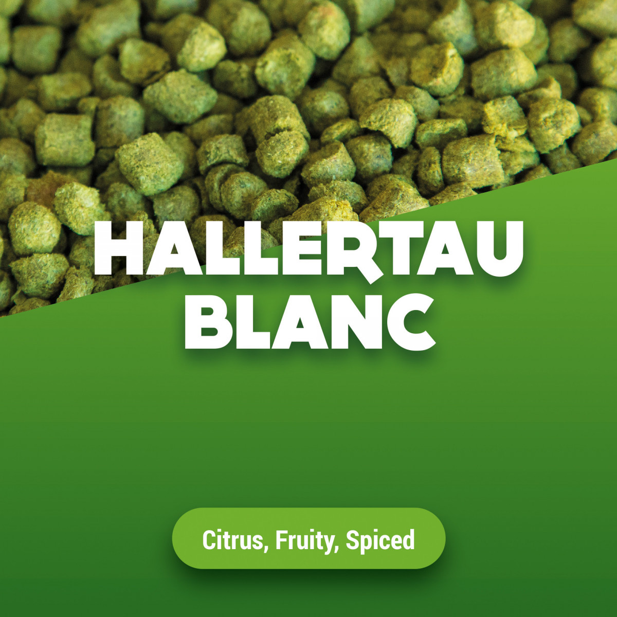 Hopfenpellets Hallertau Blanc 100 g