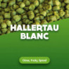 Hopfenpellets Hallertau Blanc 100 g 0