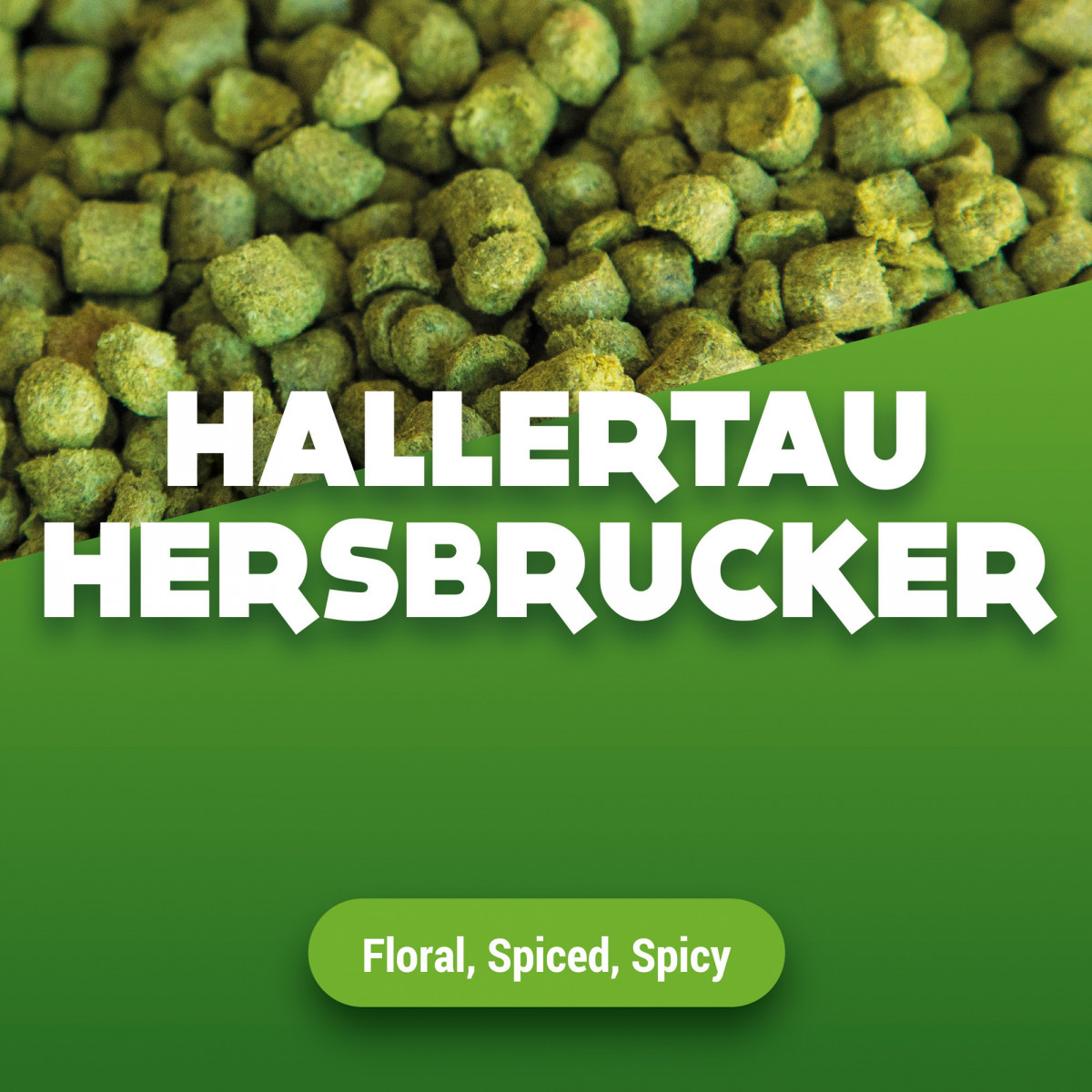 Hop pellets Hallertau Hersbrucker 100 g