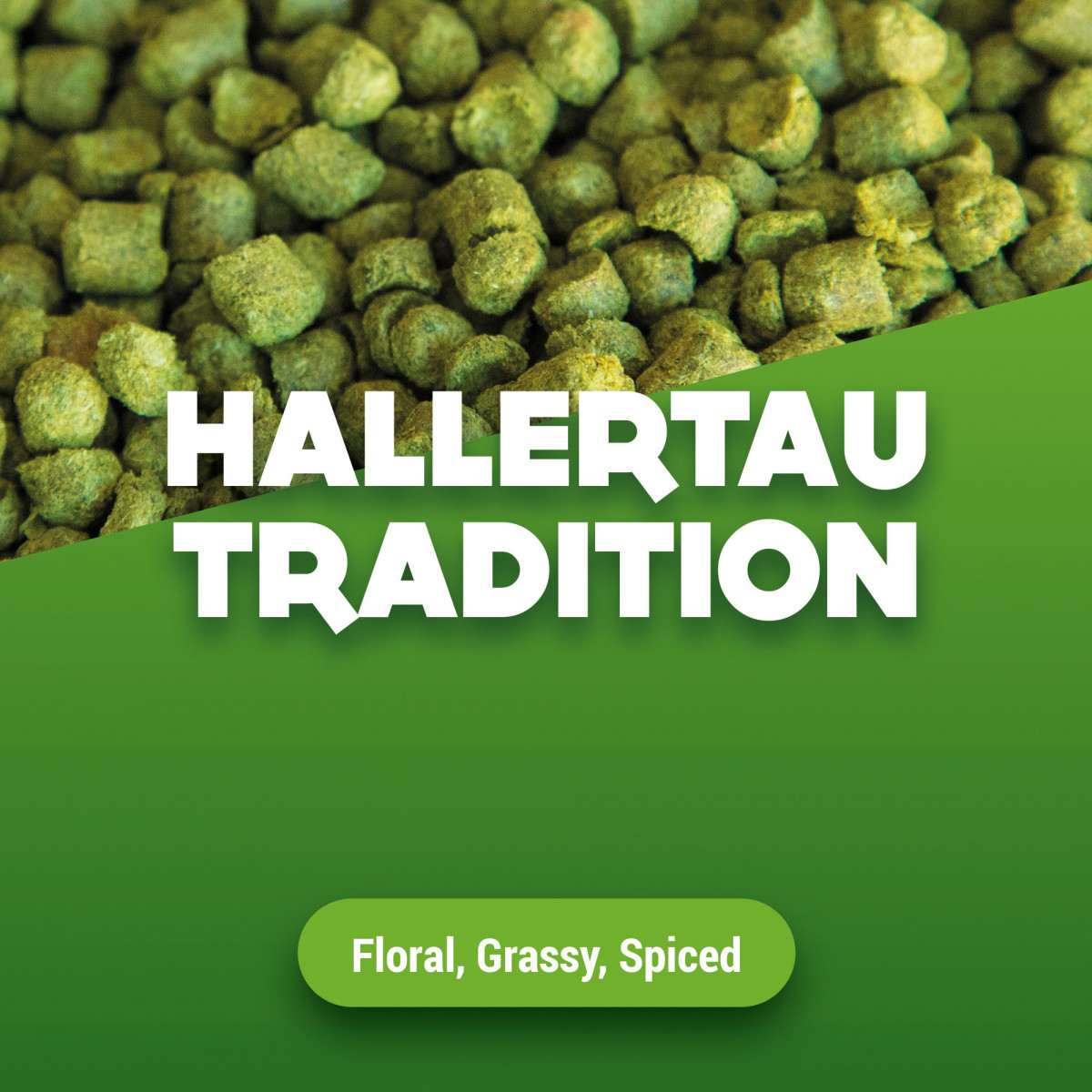 Hopkorrels Hallertau Tradition 1 kg