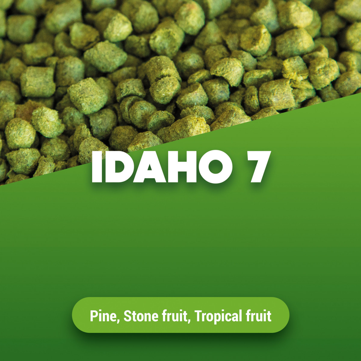 Hop pellets Idaho7 100 g