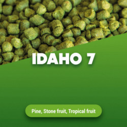 Houblons en pellets Idaho7 100 g