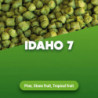 Hop pellets Idaho7 100 g 0