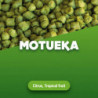 Hop pellets Motueka 100 g 0