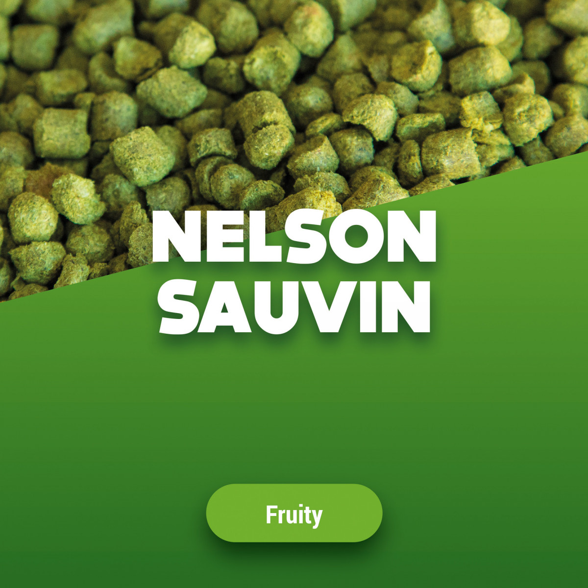 Hop pellets Nelson Sauvin 1 kg