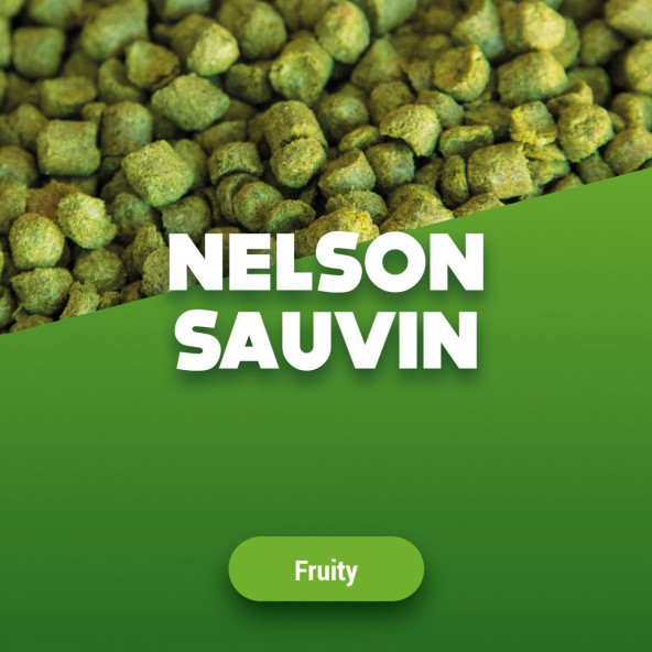 Houblon en pellets Nelson Sauvin 100 g