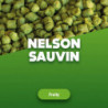 Hop pellets Nelson Sauvin 100 g 0