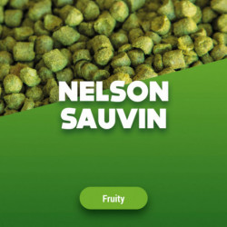 Houblon en pellets Nelson Sauvin 2023 5 kg