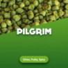 Hop pellets Pilgrim - 100 g 0