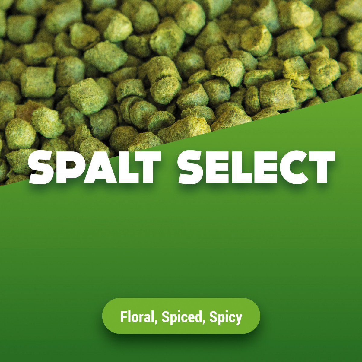 Hopkorrels Spalt Select 100 g