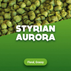 Hop pellets Styrian Aurora 2023 5 kg