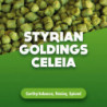 Hop pellets Styrian Goldings Celeia 100 g 0