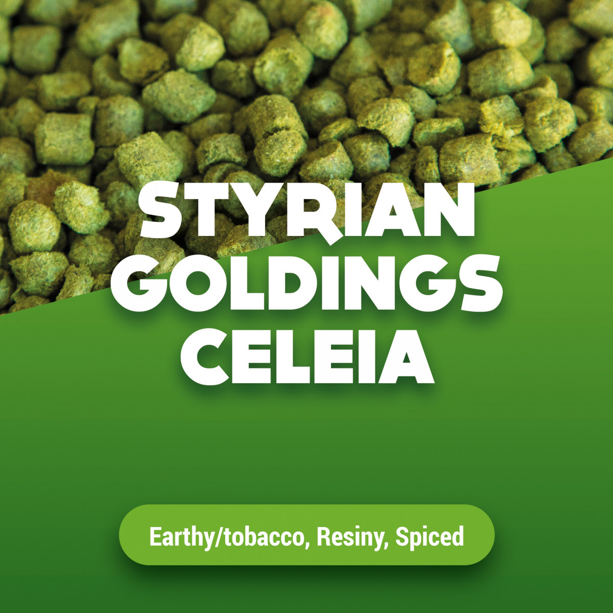 Hopfenpellets Styrian Goldings Celeia 1 kg